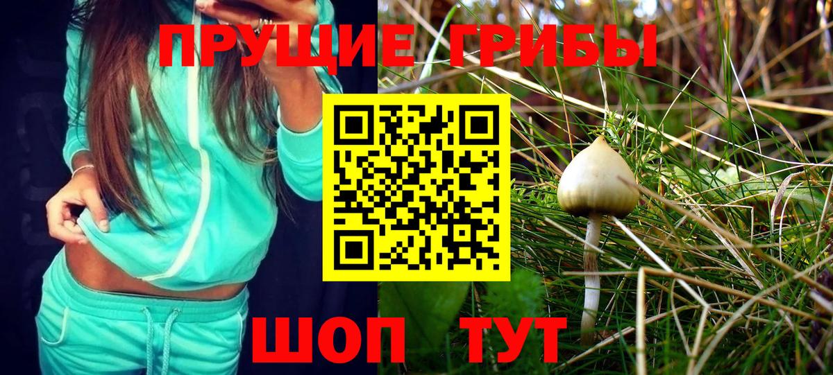 Псилоцибиновые грибы Cubensis Воткинск