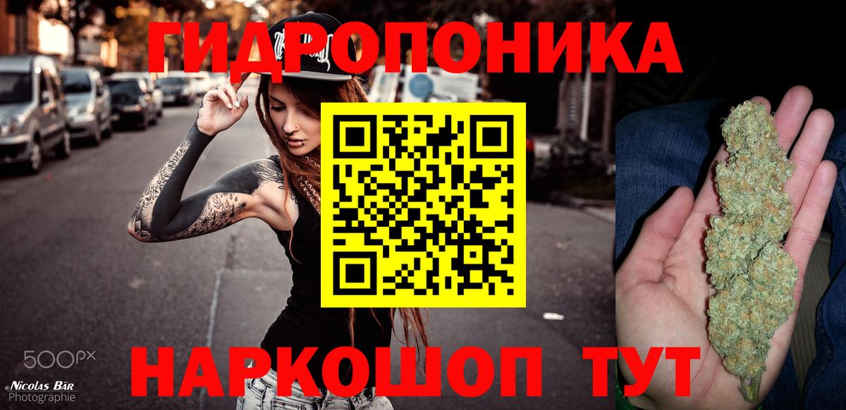 Бошки Шишки план Воткинск